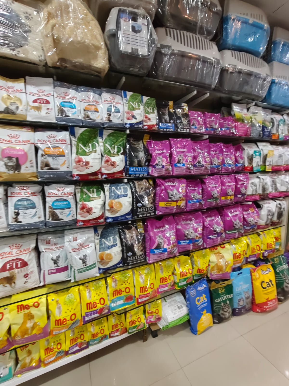 Sarvadnya Pet Care Unit veterinary clinic, Pune